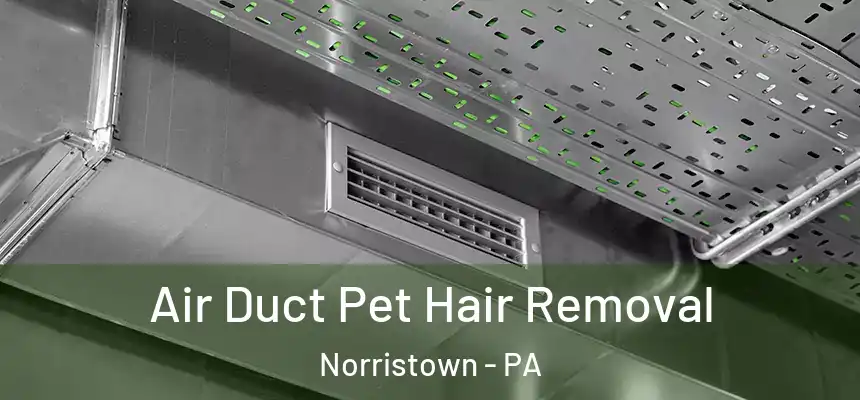 Air Duct Pet Hair Removal Norristown - PA