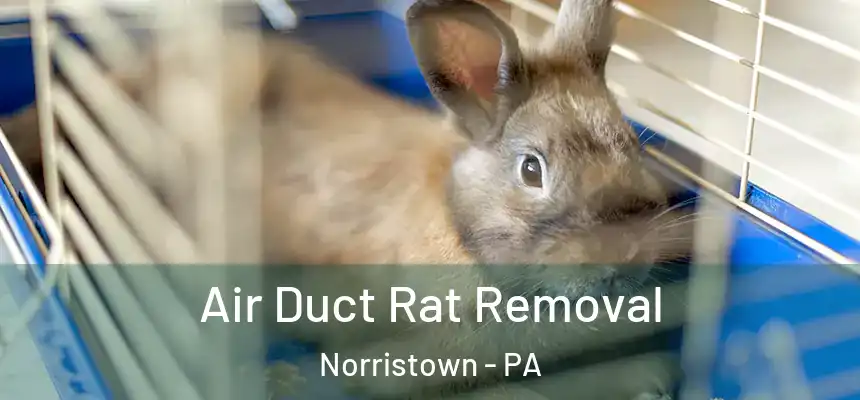 Air Duct Rat Removal Norristown - PA