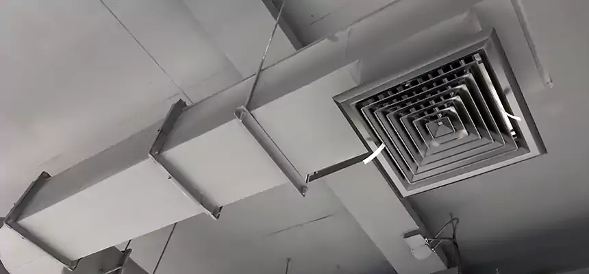 Our Pest Removal From Ducts Services in Norristown, PA