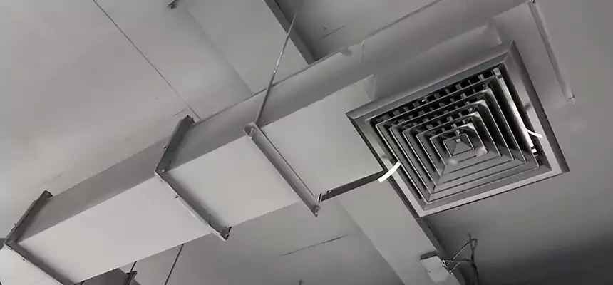 Our Rodent Droppings In Vents Services in Norristown, PA