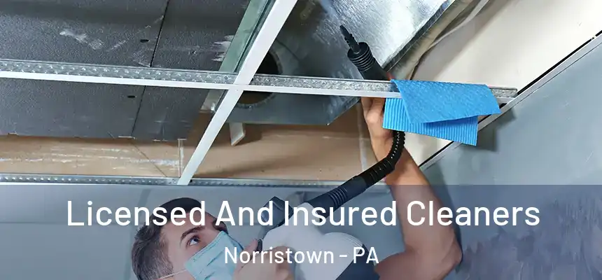  Licensed And Insured Cleaners Norristown - PA