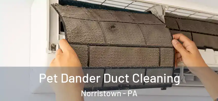 Pet Dander Duct Cleaning Norristown - PA