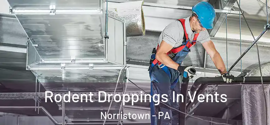 Rodent Droppings In Vents Norristown - PA