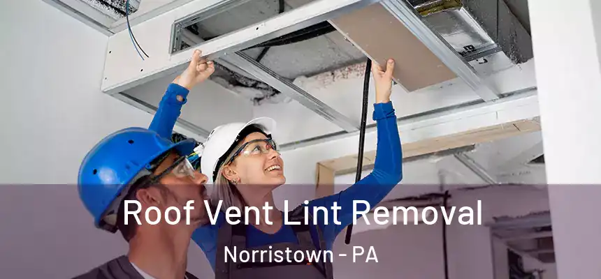 Roof Vent Lint Removal Norristown - PA