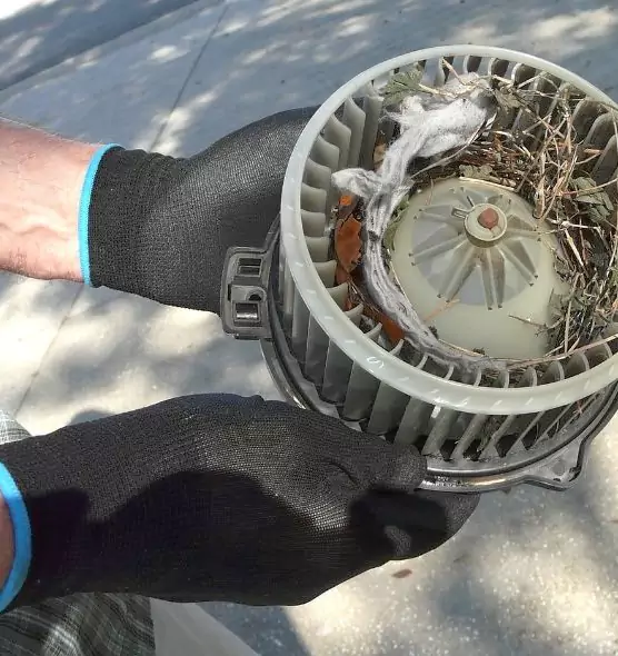 About Air Duct Mice Removal in Norristown, PA