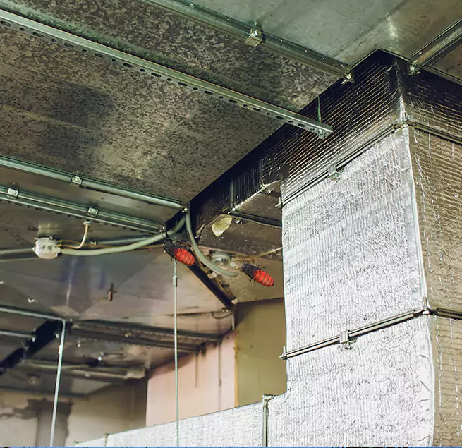 Why Homeowners & Businesses Trust Us in Norristown, PA?