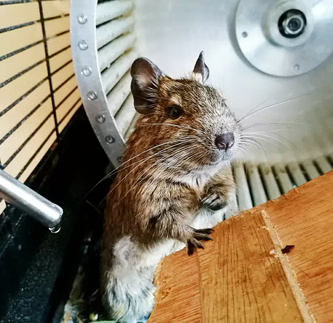 Why Homeowners & Businesses Trust Us Norristown, PA